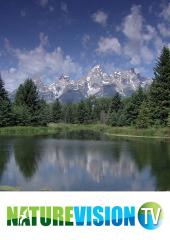 Rocky Mountains