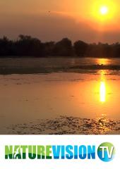 Romanian Sunset Over Water